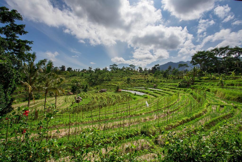 Subak Tabola Villa Sidemen  Exterior foto